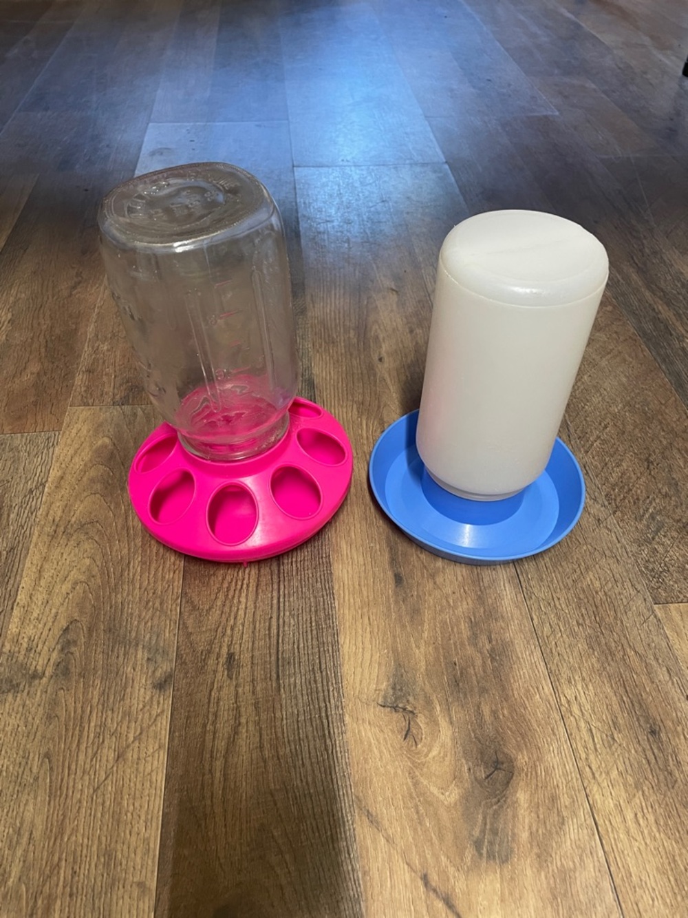 Pet Bird Waterer and Feeder Set